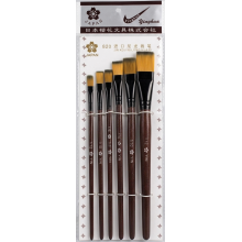 Set de 6 Pinceaux Plat