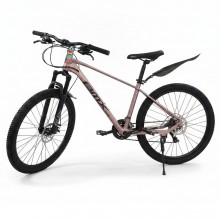 copy of Bicycle  16"