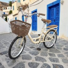 copy of Bicycle  16"
